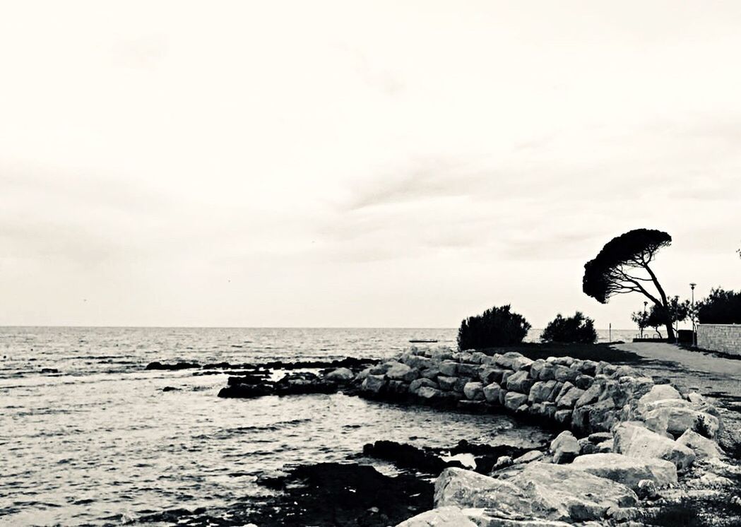 BIRDS PERCHING ON ROCKS AT SEA SHORE AGAINST SKY