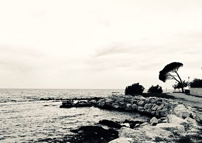 Birds perching on rock by sea against sky