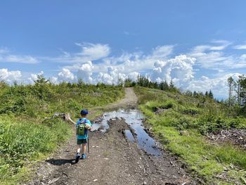 Rear view of boy on plants against sky