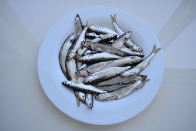 High angle view of fish in plate