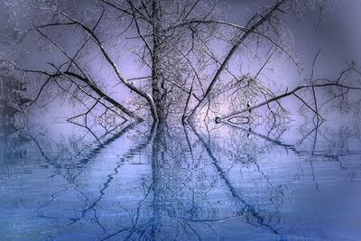 Bare tree against sky during winter