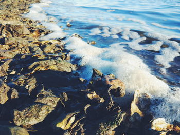 Close-up high angle view of sea