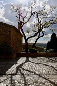 Bare trees by building against sky