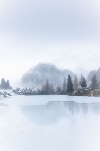 Scenic view of lake by trees against sky