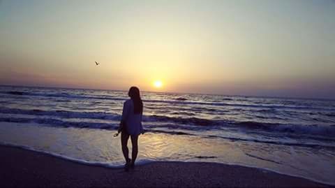 Silhouette of people on beach at sunset