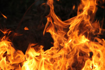 Close-up of bonfire at night