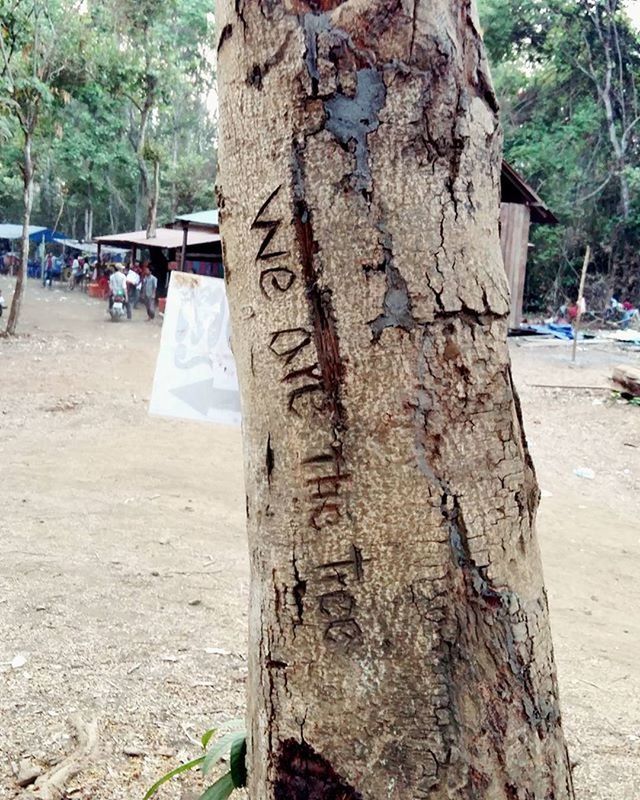 tree, tree trunk, incidental people, sand, focus on foreground, beach, sunlight, day, outdoors, close-up, nature, transportation, travel, road, growth, tranquility, person, textured, pole, shadow