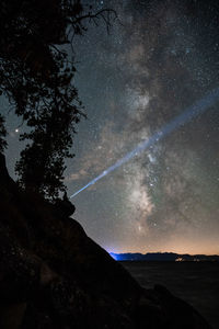 Scenic view of silhouette tree against sky at night