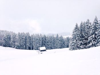 Scenic view of snow covered landscape