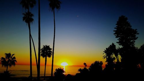 Silhouette of palm trees at sunset