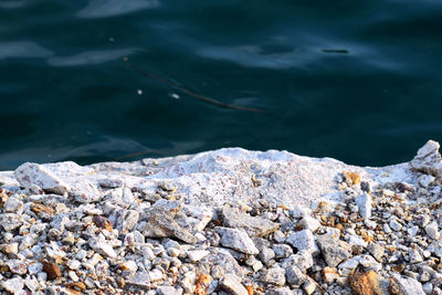 sea