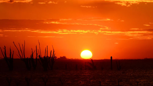 Scenic view of sunset