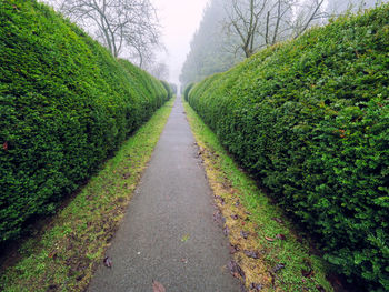 Scenic view of green landscape