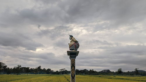 Bird perching on wooden post on field against sky