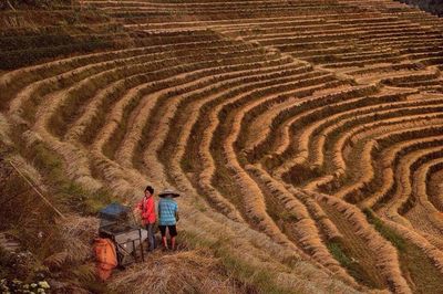 Woman standing on field