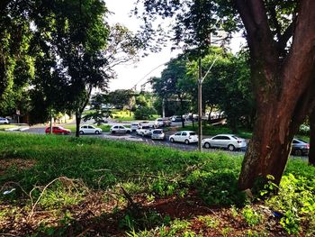 Cars on grass against trees