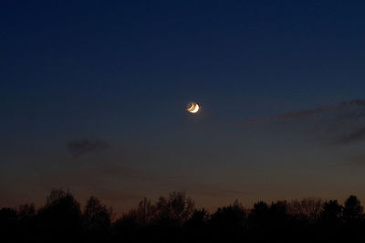 Low angle view of silhouette trees against sky at night