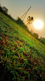 Scenic view of field against sky during sunset