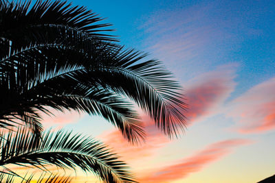 Low angle view of silhouette palm trees against sky