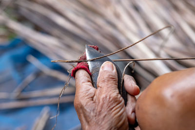 Close-up of man hand cutting stick outdoors