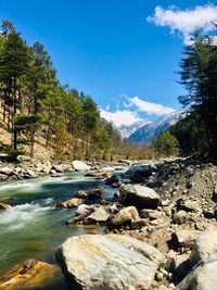 Scenic view of river amidst trees against sky