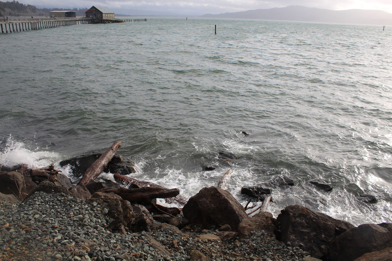 SCENIC VIEW OF SEA