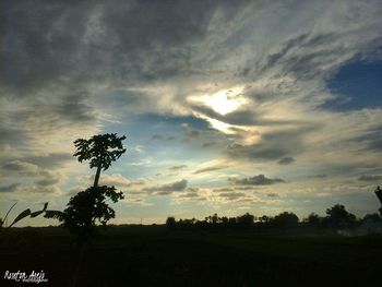 Silhouette trees on field against sky at sunset