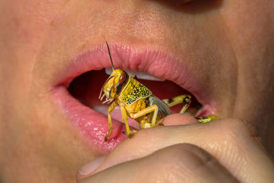 Close-up of woman eating insect