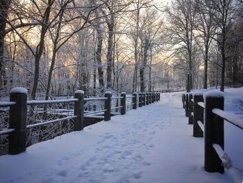 Snow covered field