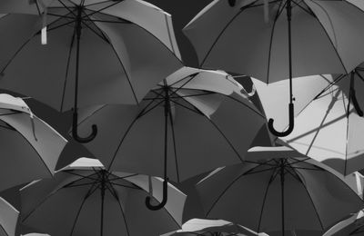 Close-up of wet umbrella