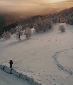 Scenic view of landscape