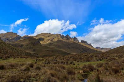 Scenic view of landscape against sky