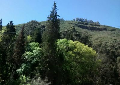 Scenic view of landscape against clear sky