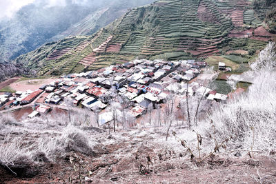 High angle view of houses in village