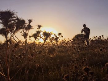 Man standing by plants against sky during sunset