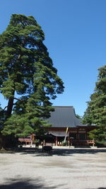 Trees by building against clear blue sky