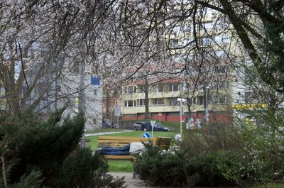 Man sleeping on bench in park against buildings