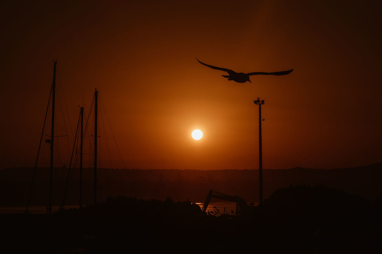 SILHOUETTE BIRD FLYING AGAINST ORANGE SKY