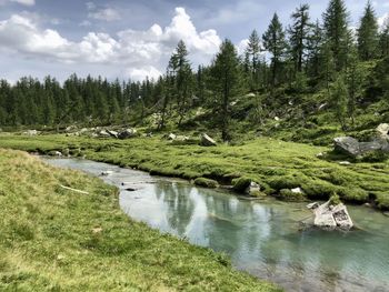 Scenic view of waterfall in forest against sky