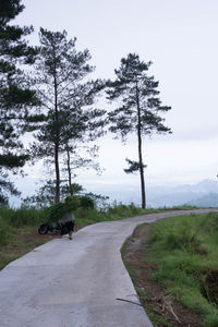 Road amidst trees on field against sky