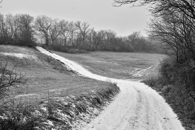 Road amidst bare trees against clear sky