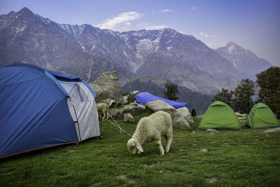View of tent on mountain