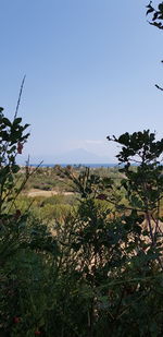 Scenic view of landscape against clear sky