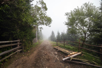 Dirt road amidst trees in forest against sky