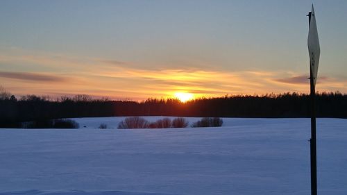 Snow covered trees against sky during sunset