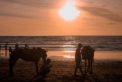 Sunset sand horse sky beach