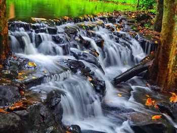 Scenic view of waterfall in forest