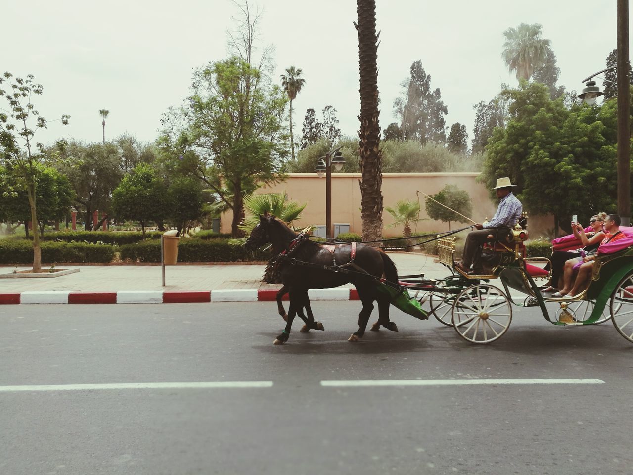 MEN ON BICYCLE AGAINST SKY