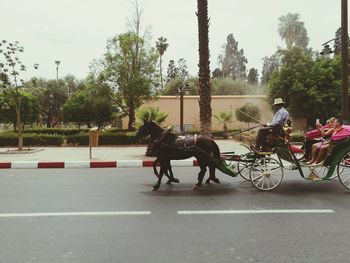 People on bicycle by trees against sky