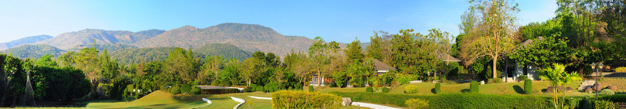 Panoramic shot of trees on landscape against sky